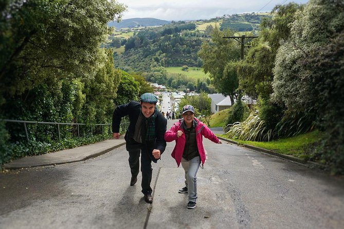 Iconic Shore Excursion: Dunedin City Highlights Tour - Signal Hill sets the scene in 15 minutes