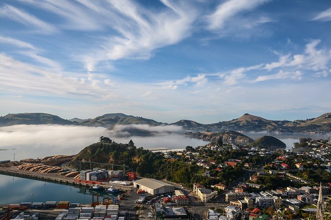 Iconic Shore Excursion: Dunedin City Highlights Tour - Otago University gives you a quick look at student Dunedin