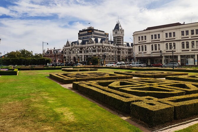 Iconic Shore Excursion: Dunedin City Highlights Tour - The Octagon gives you one hour to choose your own pace
