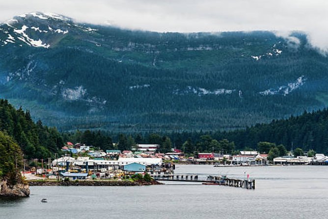 Icy Strait Shore Excursion: Whale Watching Adventure Tour - Sea otters, sea lions, seals, and porpoises add variety