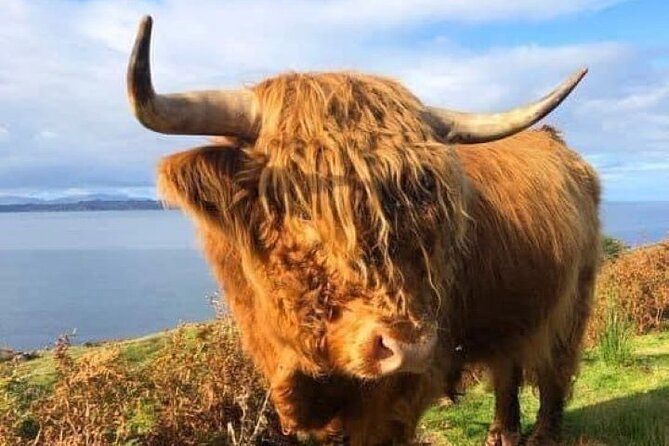 Invergordon Cruise Ship Tour Dunrobin Castle, Dornoch, Distillery - Dunrobin Castle earns the longest stop