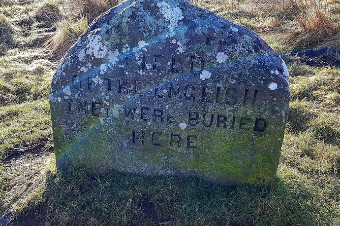Invergordon Outlander - Highland cows and a final chance for gifts