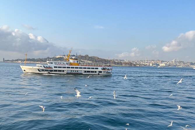 Istanbul Airport or Cruise Ship Private Layover Tour - What private transportation changes
