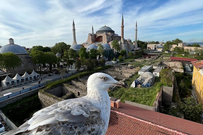 Istanbul city tour from Cruise ship terminal Galataport. - The Egyptian Bazaar and a taste of local shopping
