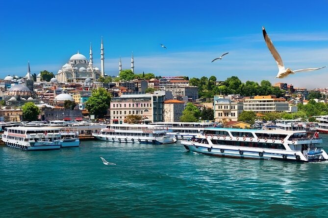 Istanbul Private Tour from Cruise Port - Hagia Sophia: the major time question