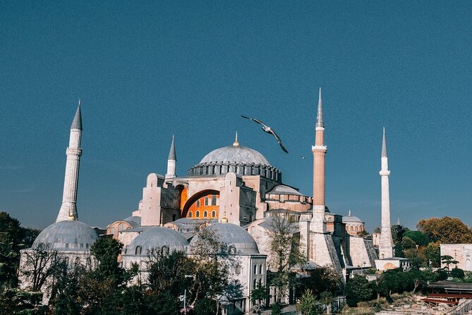 Istanbul Shore Excursion by TRAM: Half Day Private Tour from Port - One hour inside the Grand Bazaar