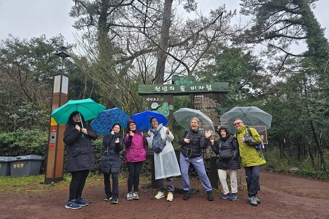 Jeju Cruise Ship gangjung Port PRIVATE tour for all group sizes - What the Private Vehicle Really Adds