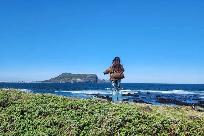 Jeju Cruise Ship gangjung Port PRIVATE tour for all group sizes - Who Will Get the Most From This Jeju Tour?