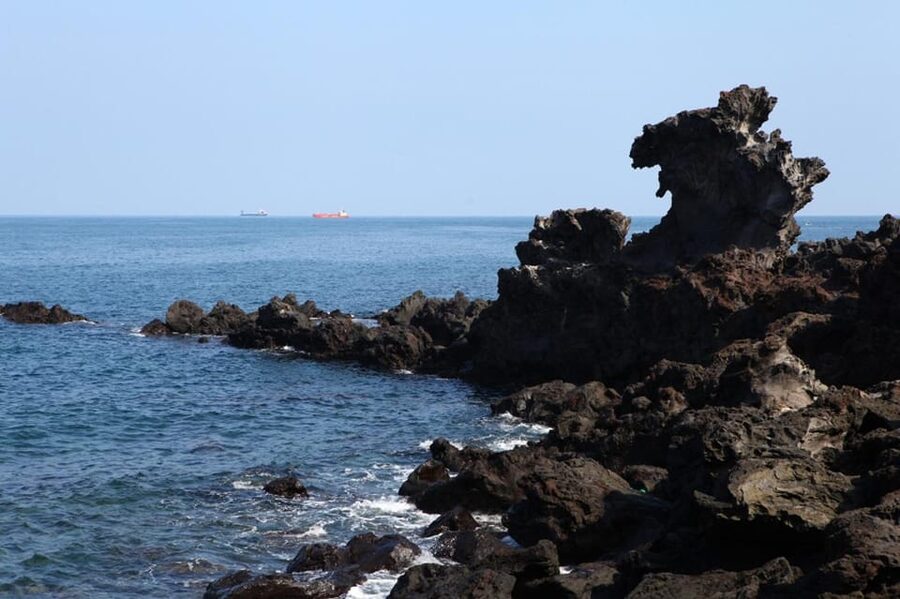 Jeju Cruise Shore Excursion Private Taxi Tour Car Charter - What the driver adds to the experience