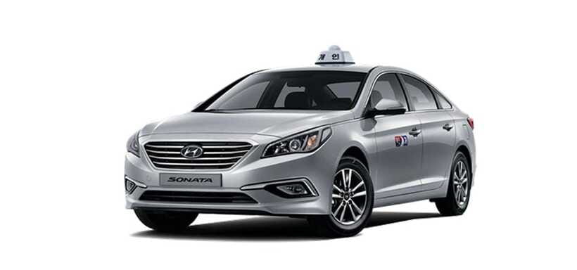 Jeju Cruise Shore Excursion Private Taxi Tour Car Charter - Who should book this Jeju excursion?