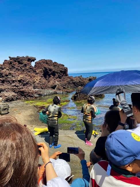 Jeju: Customized Shore Excursions For Up To 7 People - Cruise-port pickup at Jeju or Gangjeong