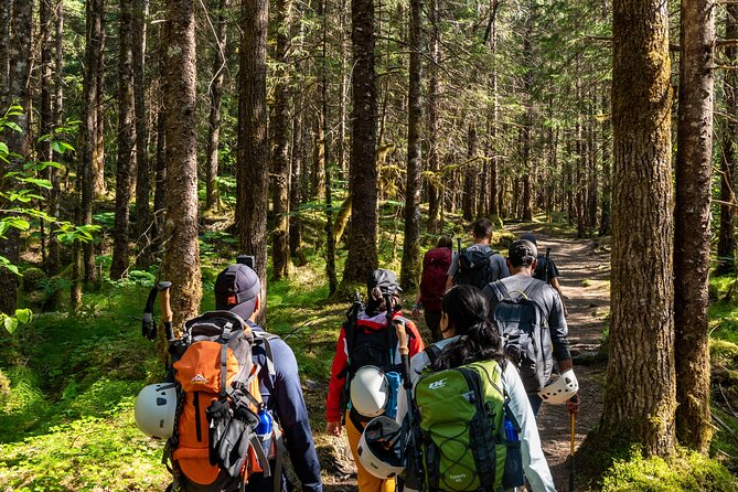 Juneau Shore Excursion: Mendenhall Glacier Guided Hike - Key points to know before you book