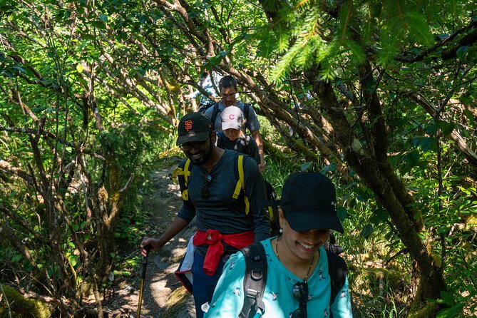 Juneau Shore Excursion: Mendenhall Glacier Guided Hike - The first 3.5 miles through Tongass rainforest