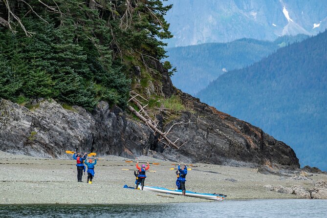 Juneau Shore Excursion: Paddle with Whales Kayak Adventure - From the Downtown C Sign to Auke Bay