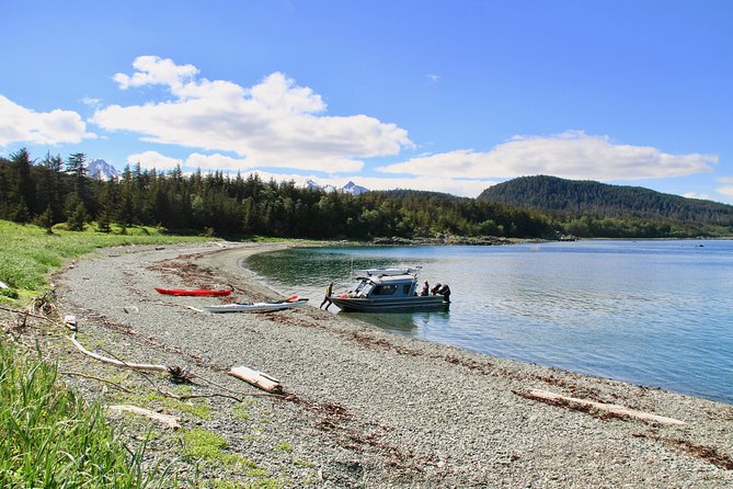 Juneau Shore Excursion: Paddle with Whales Kayak Adventure - Is $494.32 a Fair Price?