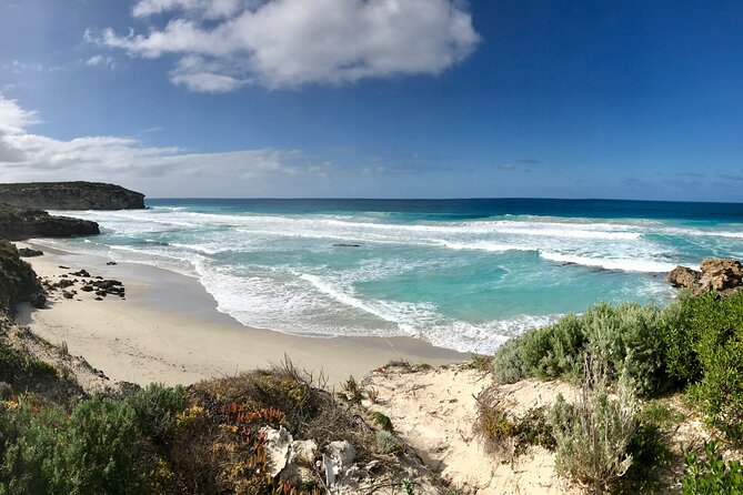 Kangaroo Island Shore Excursion Scenic Trail Tour - What the long drive means for your day