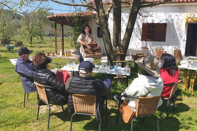 Katakolon Small Group Tour: Olympic site, Honey/Olive Oil Tasting - Group size, pace, and port timing