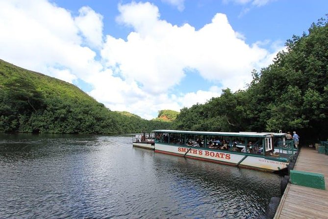 Kauai Cruise Ship Excursion: Wailua River & Fern Grotto - Opaekaa Falls: a quick stop with a big payoff