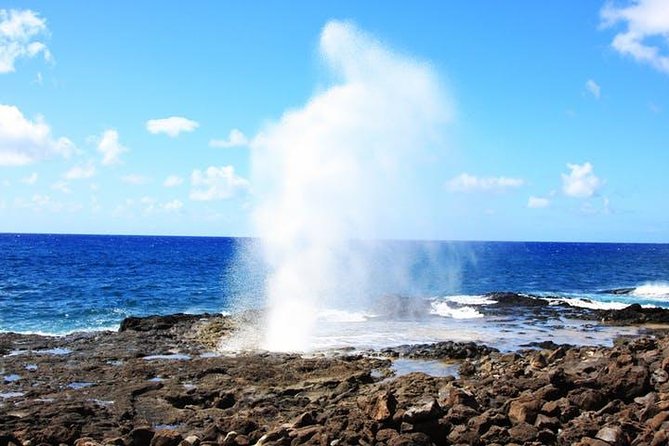 Kauai Cruise Ship Shore Excursion Journey to Waimea Canyon - Is the five-hour schedule good value?