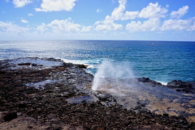 Kauai Full Day Tour with Cruise ships or Kauai Airport Pickup - Why the west side of Kauai deserves a full day