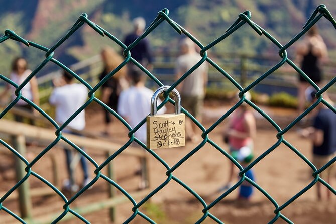 Kauai Full Day Tour with Cruise ships or Kauai Airport Pickup - Lunch in Waimea, with time to reset