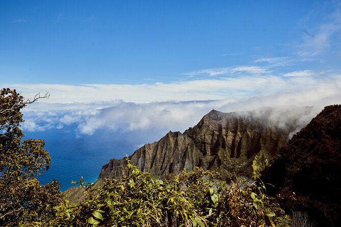 Kauai Full Day Tour with Cruise ships or Kauai Airport Pickup - Hanapepe and the swinging bridge