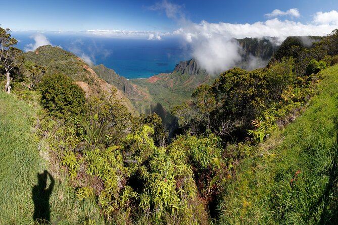 Kauai Shore Excursion - Waimea Canyon Adventure Tour - Nawiliwili - Key points to know before booking