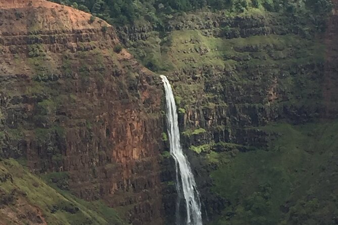 Kauai Shore Excursion - Waimea Canyon Adventure Tour - Nawiliwili - Kauai Coffee provides a relaxed mid-tour pause