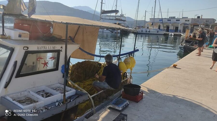 Kefalonia:Private Half-Day Sightseeing Tour& Shore Excursion - Agia Efimia and the northern coastal views
