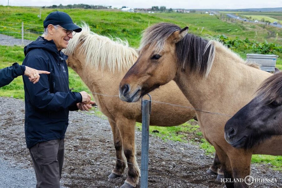 Keflavik: Golden Circle Private Tour with Airport Pickup - Gullfoss gives the day its biggest view