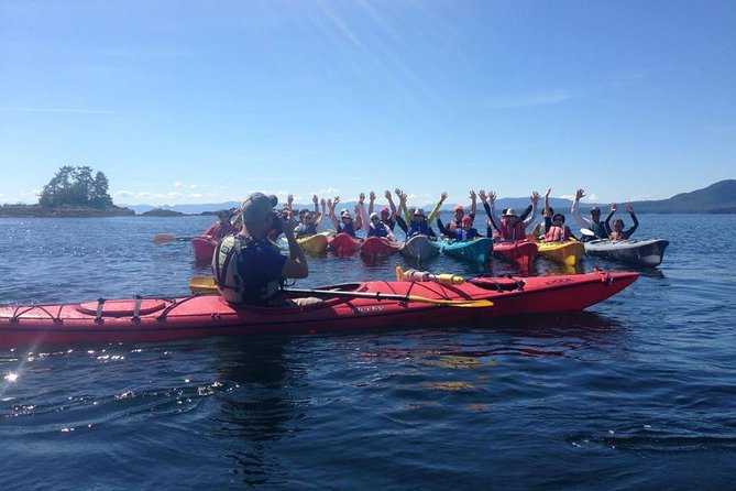 Ketchikan Shore Excursion: Eagle Island Sea Kayaking - How hard is the kayaking?
