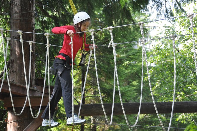Ketchikan Shore Excursion: Rainforest Canopy Ropes and Zipline Adventure Park - Why This Ketchikan Zipline Course Feels Different