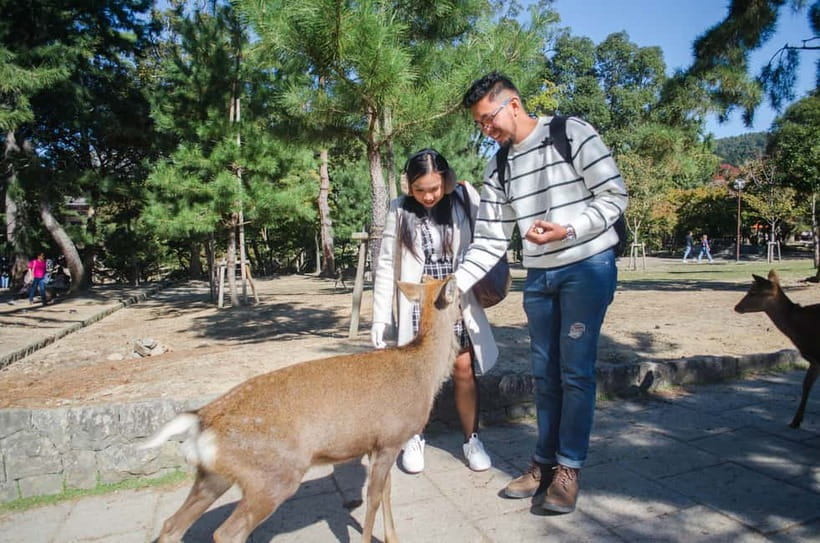 Kobe: Private Walking Shore Excursion- Kyoto/Osaka/Nara/Kobe - Key points to know before booking