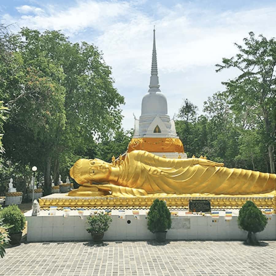 Koh Samui: Island Half Day Shore Excursion - What the minibus and group size mean