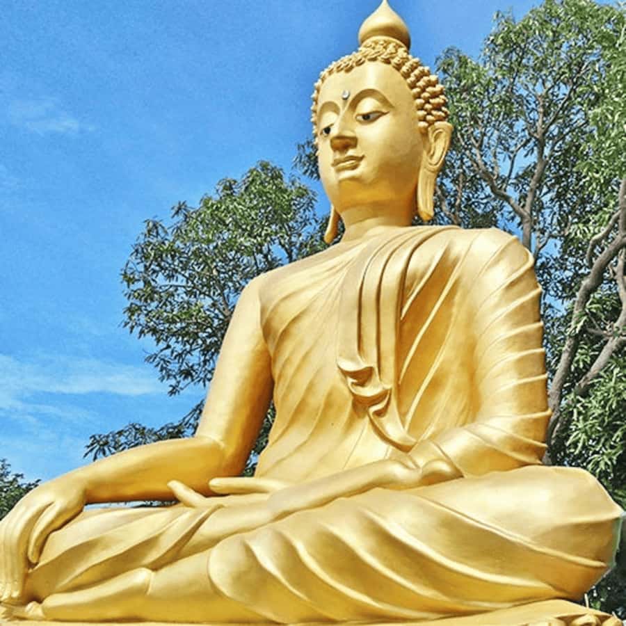 Koh Samui: Island Half Day Shore Excursion - Finding the meeting point in Nathon