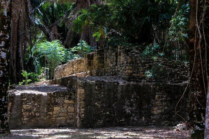 Kohunlich Mayan Ruins Private Shore Excursion - Simple ways to prepare for the six hours