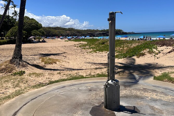 Kona Cruise Ship Excursion Hapuna Beach Day & NHS - Spencer Beach offers a quick coastal look