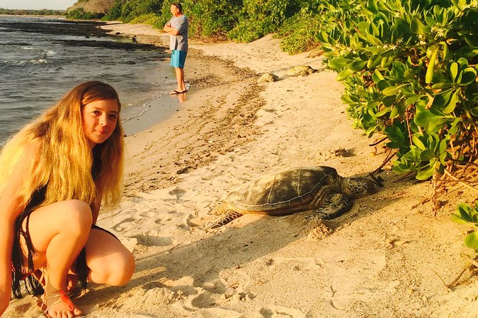 Kona Shore Excursion: Sea Turtles, Historic Kona & Coffee - A local lunch in Honaunau