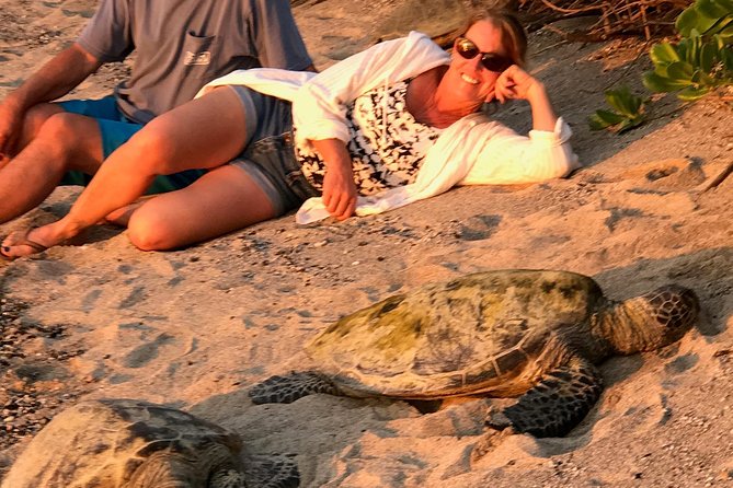 Kona Shore Excursion: Sea Turtles, Historic Kona & Coffee - Kaloko-Honokohau National Historical Park