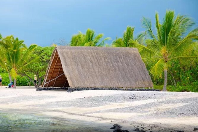 Kona Shore Excursion: Sea Turtles, Historic Kona & Coffee - How much value do you get for $149?