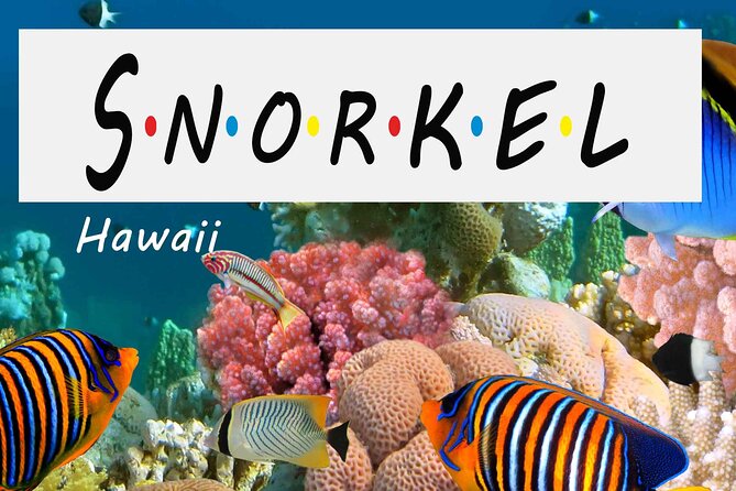 Kona Shore Excursion: Wild Dolphin Reefs Snorkel and Sea Caves - Why Kealakekua Bay makes this more than a basic snorkel trip