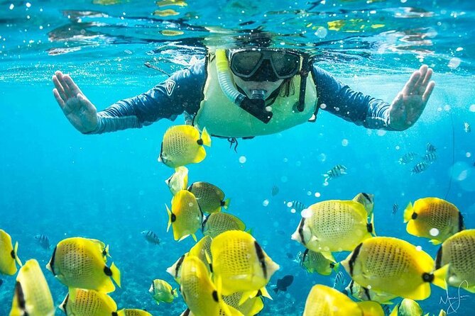 Kona Shore Excursion: Wild Dolphin Reefs Snorkel and Sea Caves - The boat ride south from Kailua Pier