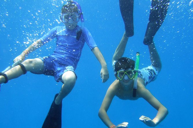 Kona Shore Excursion: Wild Dolphin Reefs Snorkel and Sea Caves - Snorkeling near the Captain Cook Monument