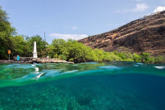Kona Shore Excursion: Wild Dolphin Reefs Snorkel and Sea Caves - Who will get the most from this Kona excursion