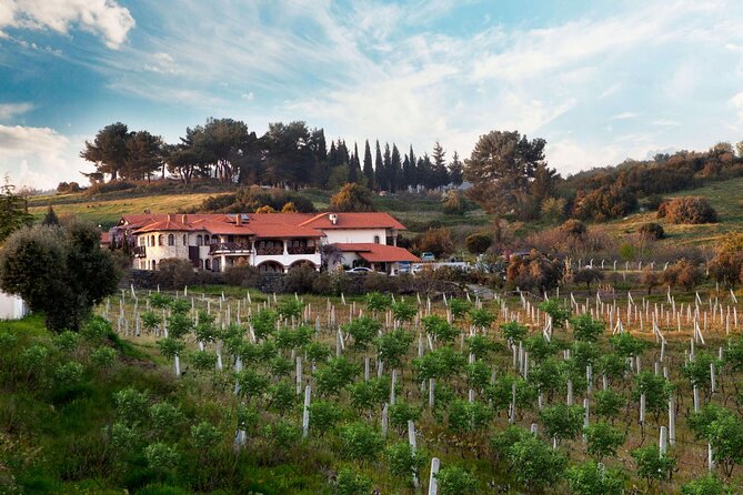 Kusadasi Shore Excursions Ephesus and Wine Tasting Tours - How to make the day work better