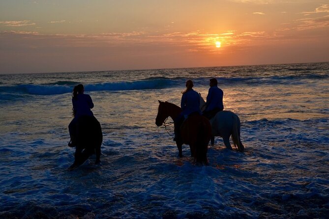 La Bufadora, Markets & Horseback Beach Ride Shore Excursion - Who should book this Ensenada tour?
