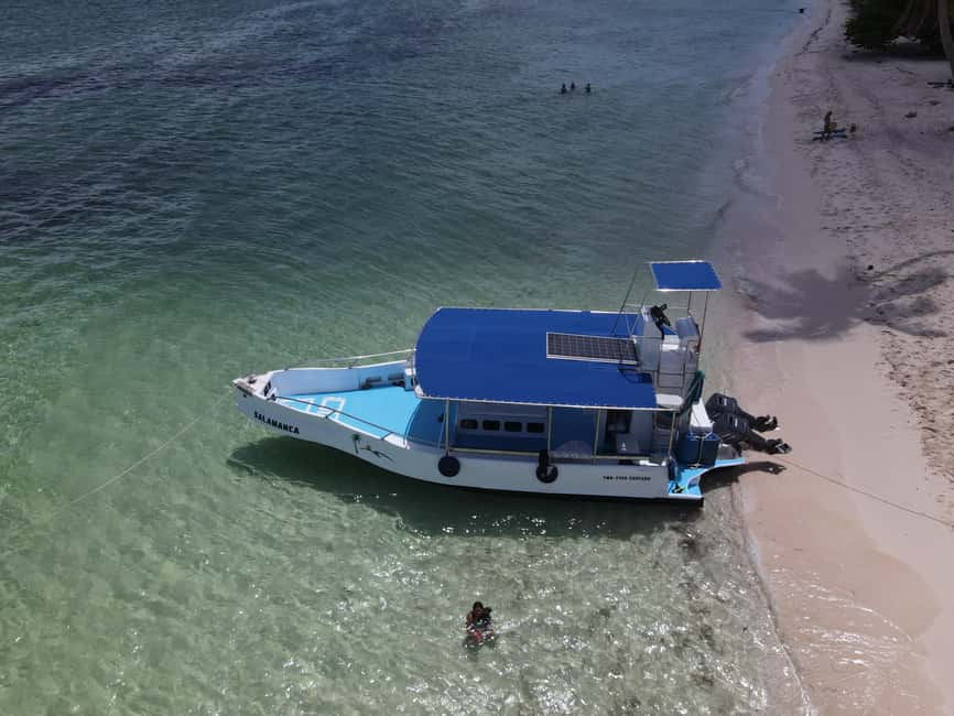 La Romana: Catalina Island for Mein Schiff Cruise Passengers - Key points to know before booking