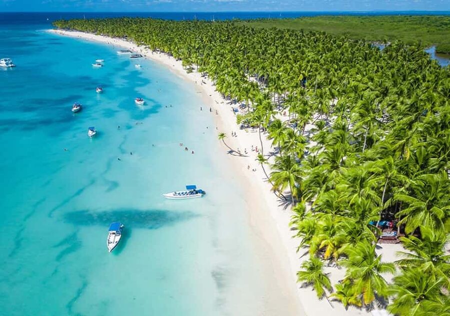 La Romana: Saona Island for Norwegian Sky Cruise Passengers - Mangroves in Cotubanama National Park