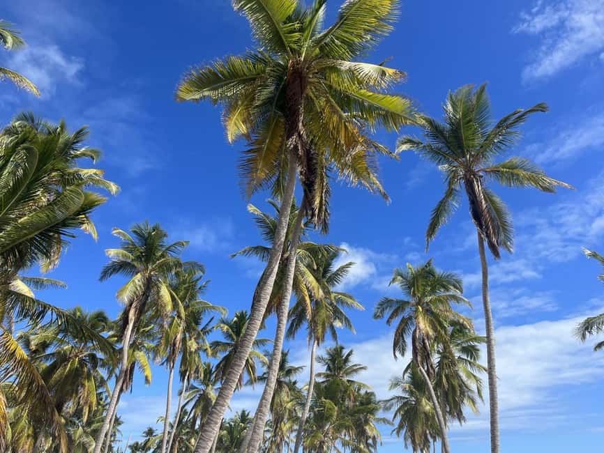 La Romana: Saona Island for Norwegian Sky Cruise Passengers - Timing, cruise safety, and the return
