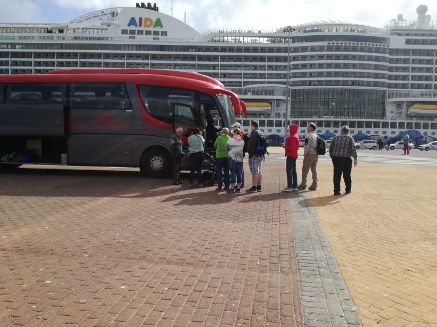 Lanzarote: César Manrique & Teguise Market from Cruise Port - What the guide adds to the Manrique visit